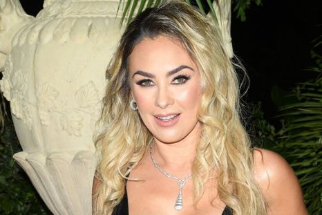 Aracely Arámbula arremetió contra Luis Miguel. Foto: Internet