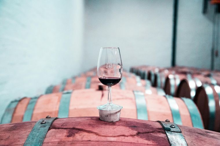 Vino en Malbec: nuestro vino emblema. Foto: Foto: Pexels