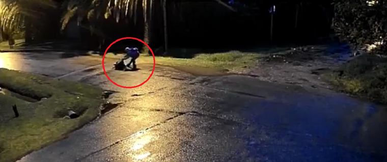 Violento asalto en Berazategui Foto: captura video