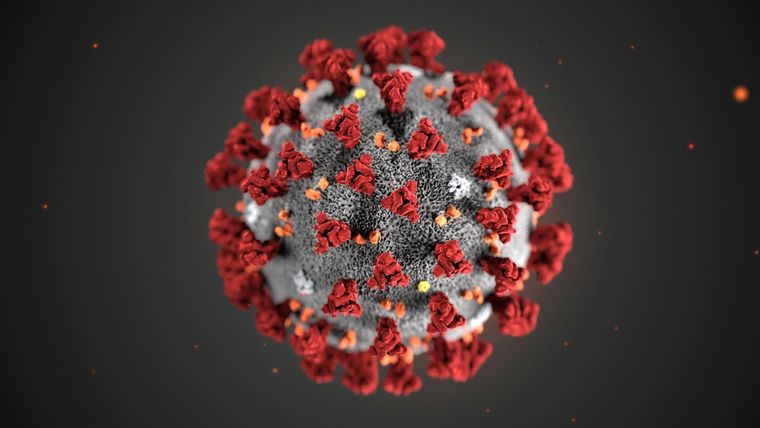Una ilustración del coronavirus 2019-nCoV, creada por los Centros para el Control y la Prevención de Enfermedades.