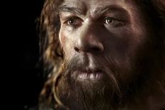 Foto: S. ENTRESSANGLE/E. DAYNES/SCIENCE PHOTO LIBRARY