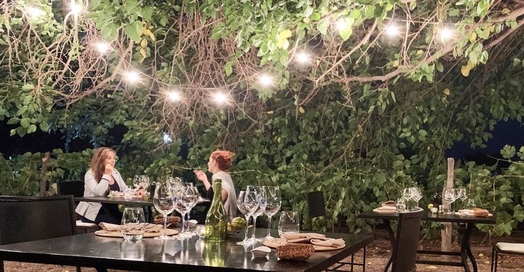 El patio de Fogón junto a las viñas brilla por las noches Foto: Alicia Sisteró