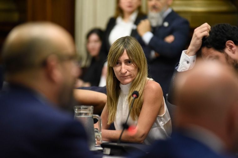 Mercedes Llano celebró la aprobación completa de la ley de bases Foto: X @LlanoMechi