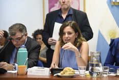 Duras declaraciones de la diputada kirchnerista Foto: Prensa Diputados