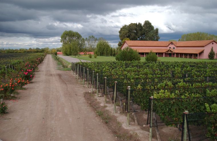 La bodega se encuentra en Vistalba, Luján de Cuyo