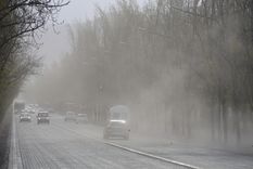Las ráfagas de viento Zonda podrían superar los 90 kilómetros por hora Foto: Maximiliano Ríos/MDZ