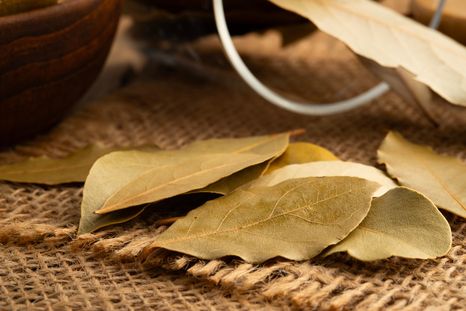El laurel se asocia a calma, protección y buena energía en la rutina nocturna. El laurel se asocia a calma, protección y buena energía en la rutina nocturna.