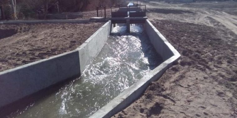 Imagen ilustrativa. Foto: Archivo MDZ