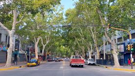 El arbolado público es patrimonio ambiental de Mendoza. El arbolado público es patrimonio ambiental de Mendoza.