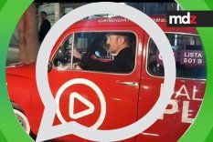 Petri se largó, el Zoo privado de un candidato y guerra de encuestas