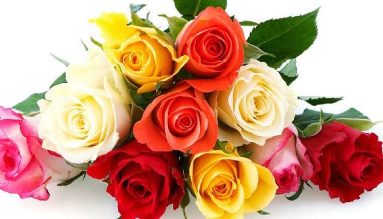 Test de personalidad