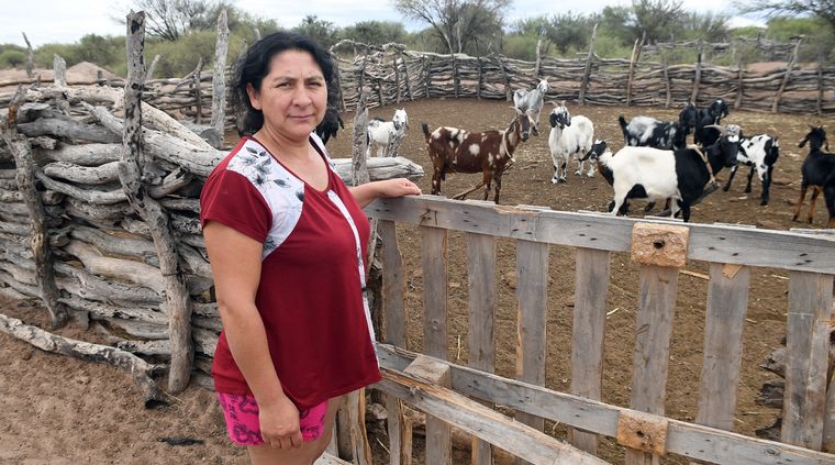 Cristina Godoy vive en uno de los puestos de San Miguel, Lavalle Foto: ALF PONCE MERCADO / MDZ