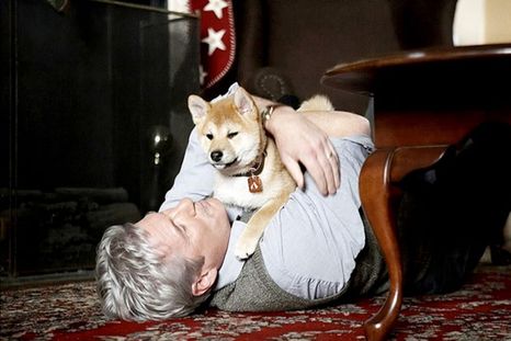 Esta película emocionante está protagonizada por Richard Gere. Foto: IMDB.