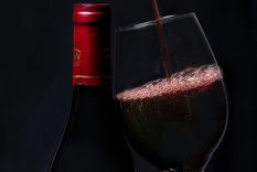 Desafíos y nuevos paradigmas para una vitivinicultura sostenible