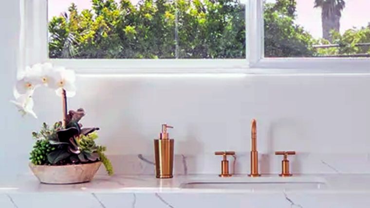 Jardinería. Las mejores plantas para el baño. Foto: Breegan Jane Jardinería. Las mejores plantas para el baño. Foto: Breegan Jane