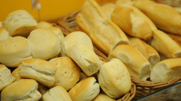 Foto: Pachy Reynoso/MDZ