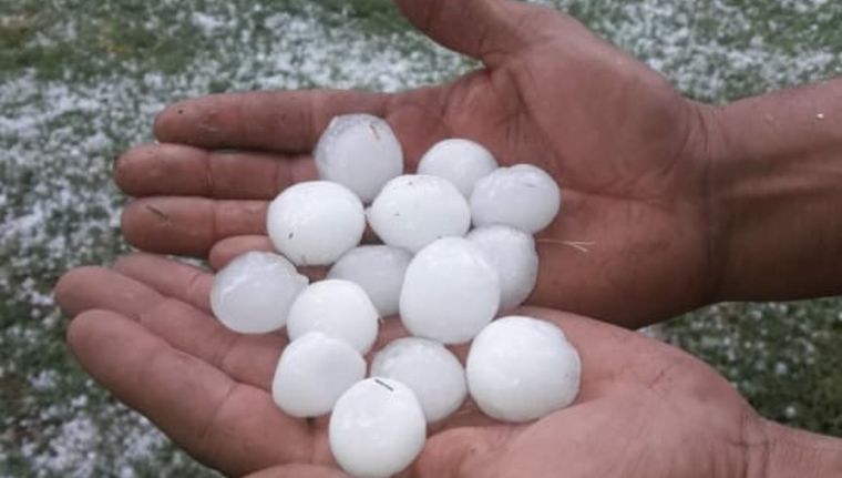 El granizo afectó a la producción local. Foto: gentileza