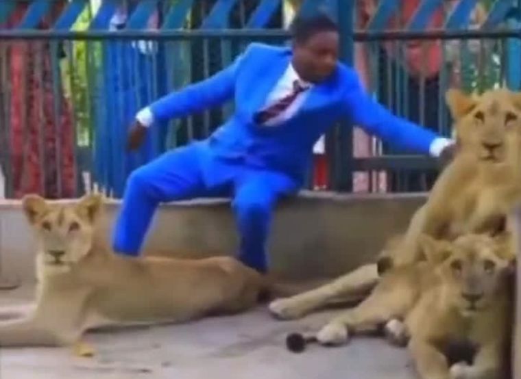 Nigeria En el video puede verse al pastor acariciando a los animales dentro de la jaula Foto: Captura de video