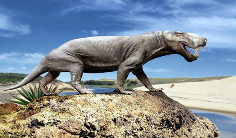 Los gorgonópsidos, como Inostrancevia, sucumbieron en la mayor extinción terminal que se supone experimentó la vida en la Tierra, la del final del Pérmico. Foto: Wikipedia.