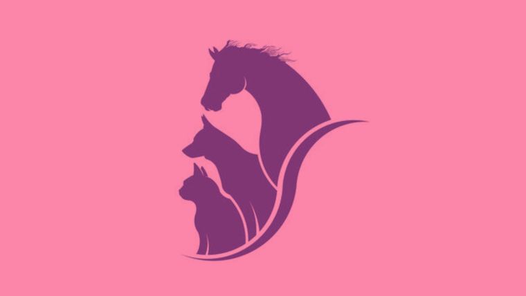 Test de personalidad