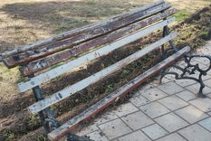 el lamentable estado de abandono de los bancos del rosedal el lamentable estado de abandono de los bancos del rosedal