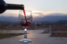 Día del Malbec: una celebración que une historia, identidad y cultura del vino. Foto: Municipalidad de Mendoza.
