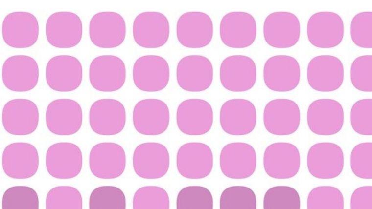 Este acertijo visual es una tarea casi imposible de resolver Foto: Archivo MDZ