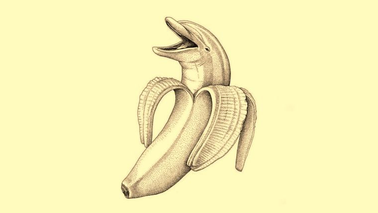 Test de personalidad