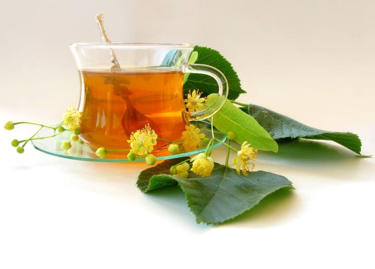 TILO CON UNAS FLORES DEL ÁRBOL DE TILO, SE PUEDE PREPARAR UNA DE LAS INFUSIONES MÁS POPULARES Foto: ARCHIVO