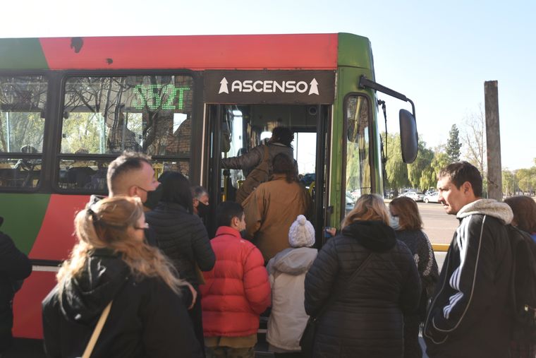 El beneficio aplica a recorridos urbanos, media y larga distancia Foto: Rodrigo DAngelo / MDZ