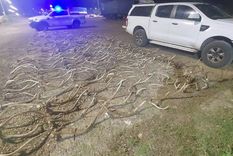 Foto: Gendarmería Nacional Argentina