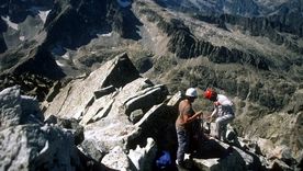 La zona de Francia donde cayó la avioneta y dejó un saldo de cuatro muertos. Foto Efe La zona de Francia donde cayó la avioneta y dejó un saldo de cuatro muertos. Foto Efe