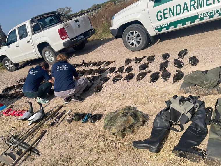 Gendarmería detectó la caza ilegal. Foto: GSFE