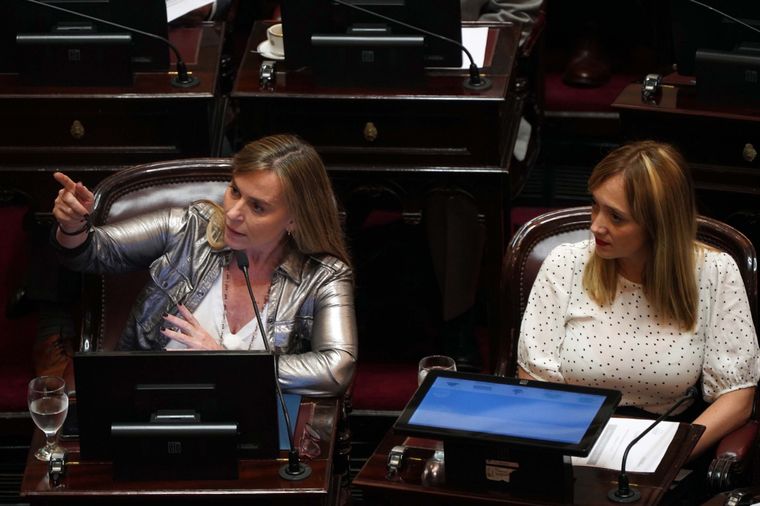 El kirchnerismo fijará sus críticas al DNU de Milei. Foto: Télam