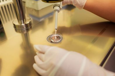 MDZol | Los tratamientos de fertilidad son procesos muy costosos. Foto: Shutterstock