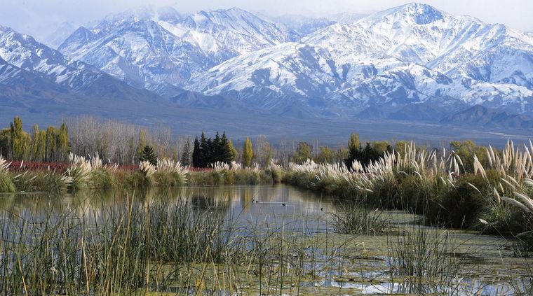 Foto: ALF PONCE MERCADO / MDZ