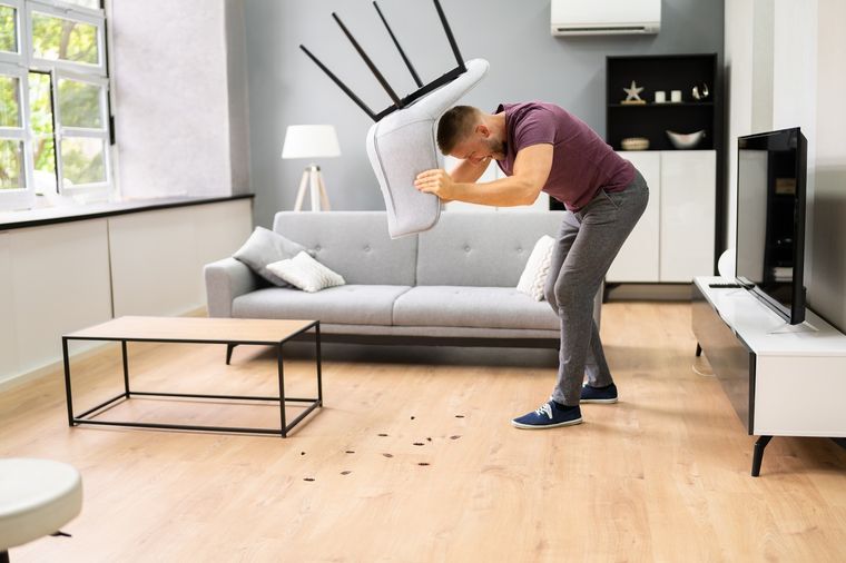 Con este truco casero te olvidarás de las plagas del hogar Foto: Shutterstock