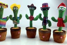 El famoso cactus, con atuendos diversos. Foto: Fordeal.