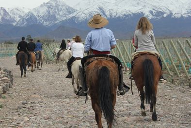 MDZol | Foto: Gentileza