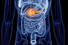 avanza una revolucionaria terapia contra el cancer de pancreas avanza una revolucionaria terapia contra el cancer de pancreas