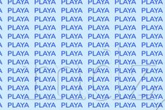 Acertijo visual, reto visual, palabra Fuente: MDZ Online