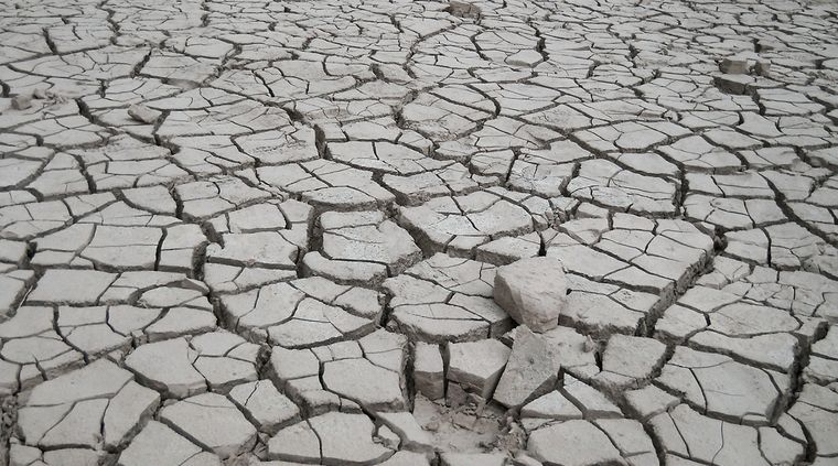 Foto: ALF PONCE MERCADO / MDZ