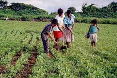 piden combatir explotacion de trabajadores agricolas en mexico