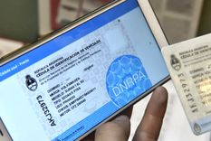 En menos de dos semanas se emitieron 524.506 cédulas azules digitales por la App Mi Argentina. Foto: NA