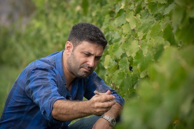 Juan Pablo Díaz, enólogo en bodegas López. Foto: Gentileza