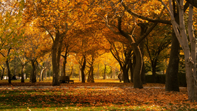 Qué portal energético se abre con la llegada del otoño?´Descubrilo en la nota. Qué portal energético se abre con la llegada del otoño?´Descubrilo en la nota.