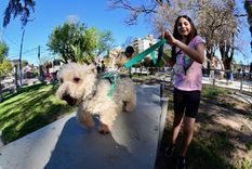 El nuevo espacio estará ubicado en el Parque Margarita Malharro de Torres y contará con servicios gratuitos para perros y gatos. El nuevo espacio estará ubicado en el Parque Margarita Malharro de Torres y contará con servicios gratuitos para perros y gatos.