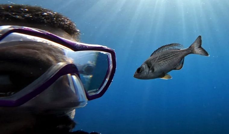 El autor del estudio, Maëlan Tomasek, con un “voluntario” en el experimento realizado en el mar Mediterráneo. Foto: Dpa.