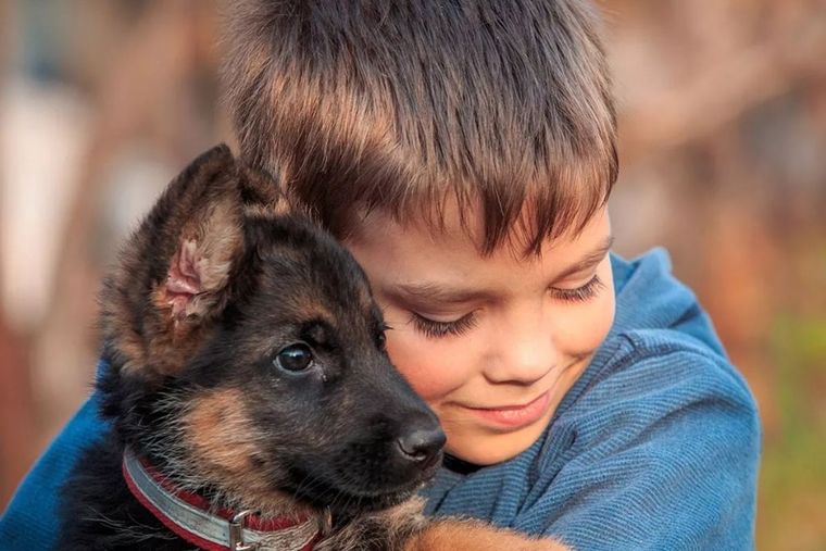 Perro, el mejor amigo del hombre