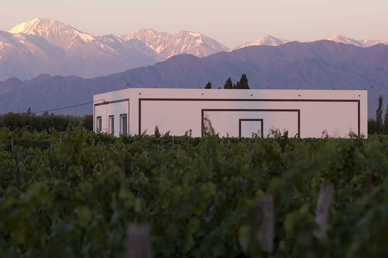 Bodega Ricardo Santos Foto: Bodega Ricardo Santos